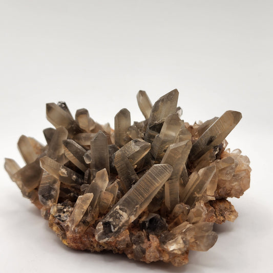 Smoky Quartz Cluster