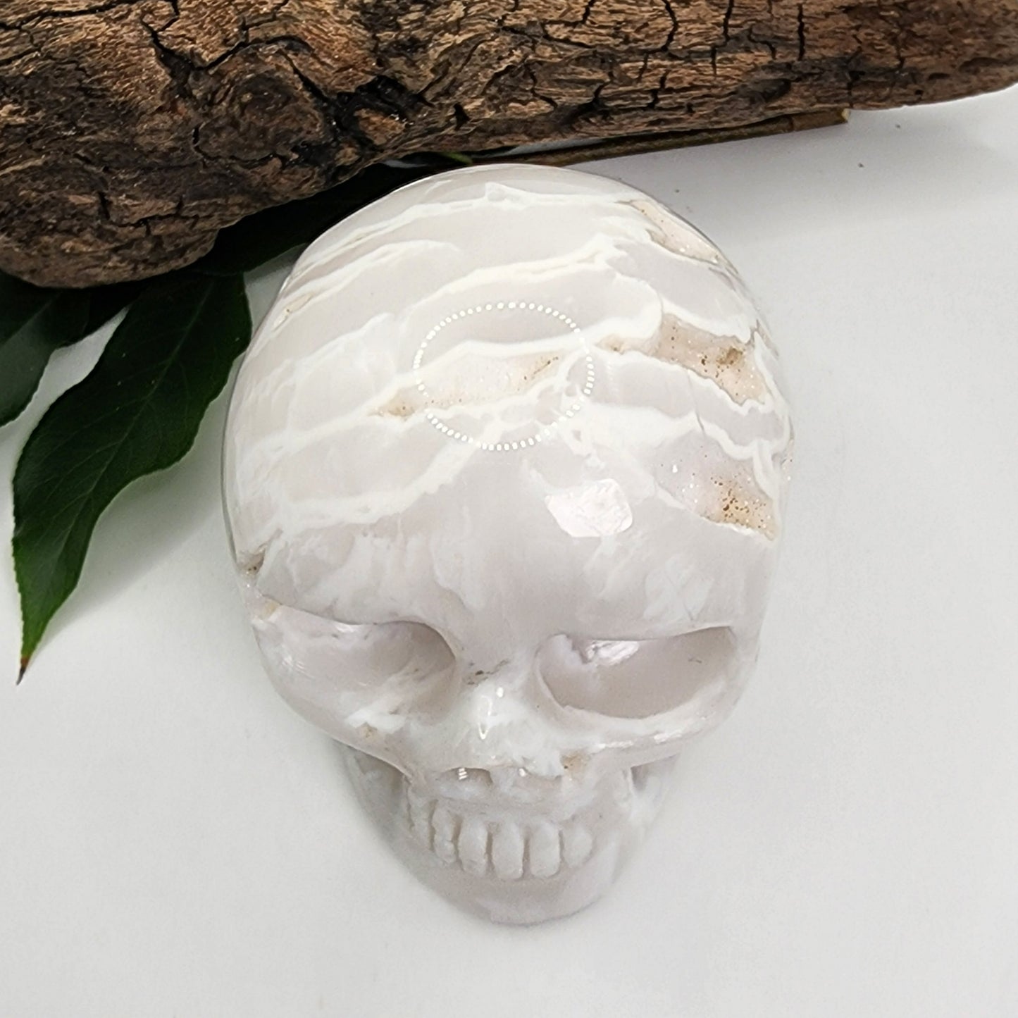 White Plume Agate Skull A