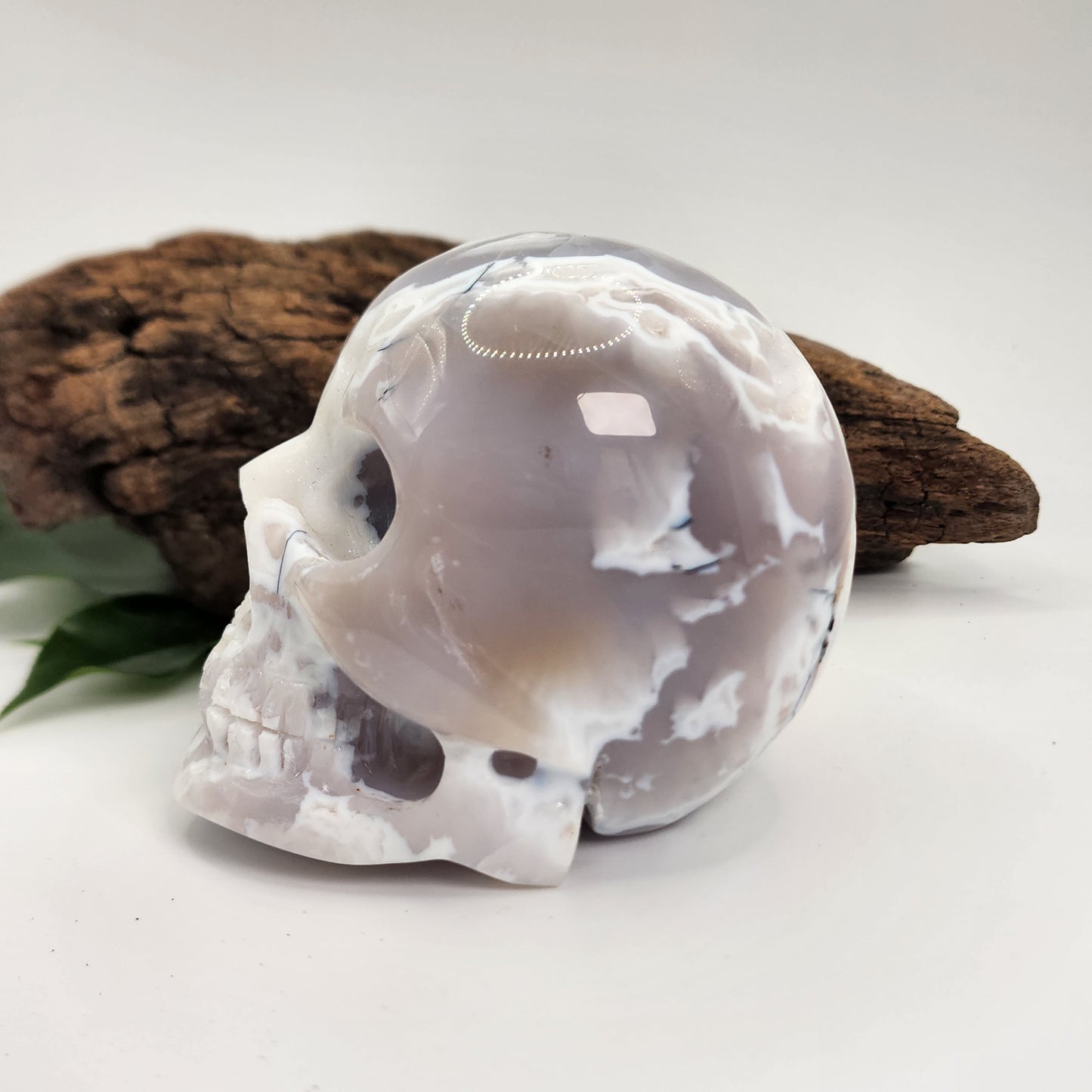 White Plume Agate Skull C