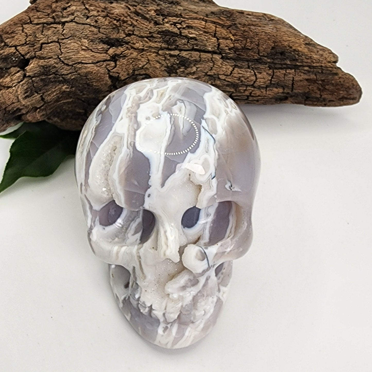 White Plume Agate Skull C