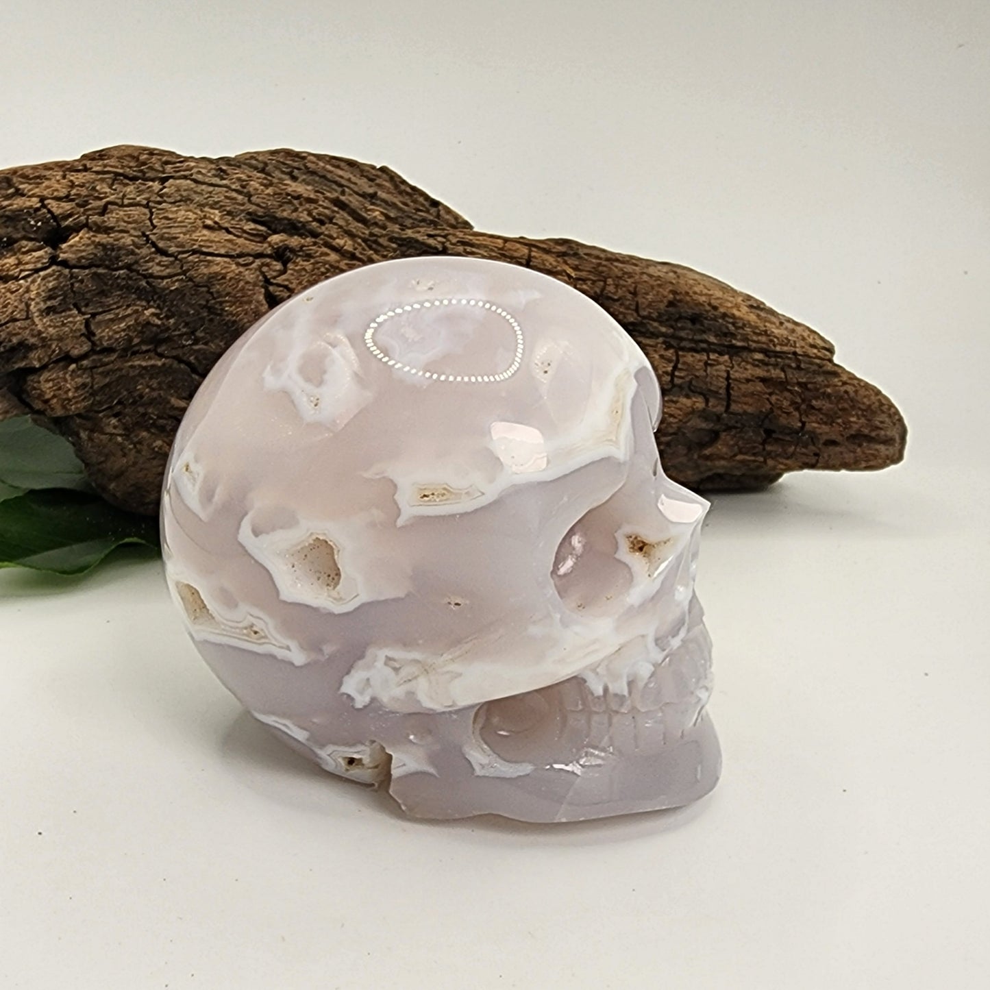 White Plume Agate Skull F